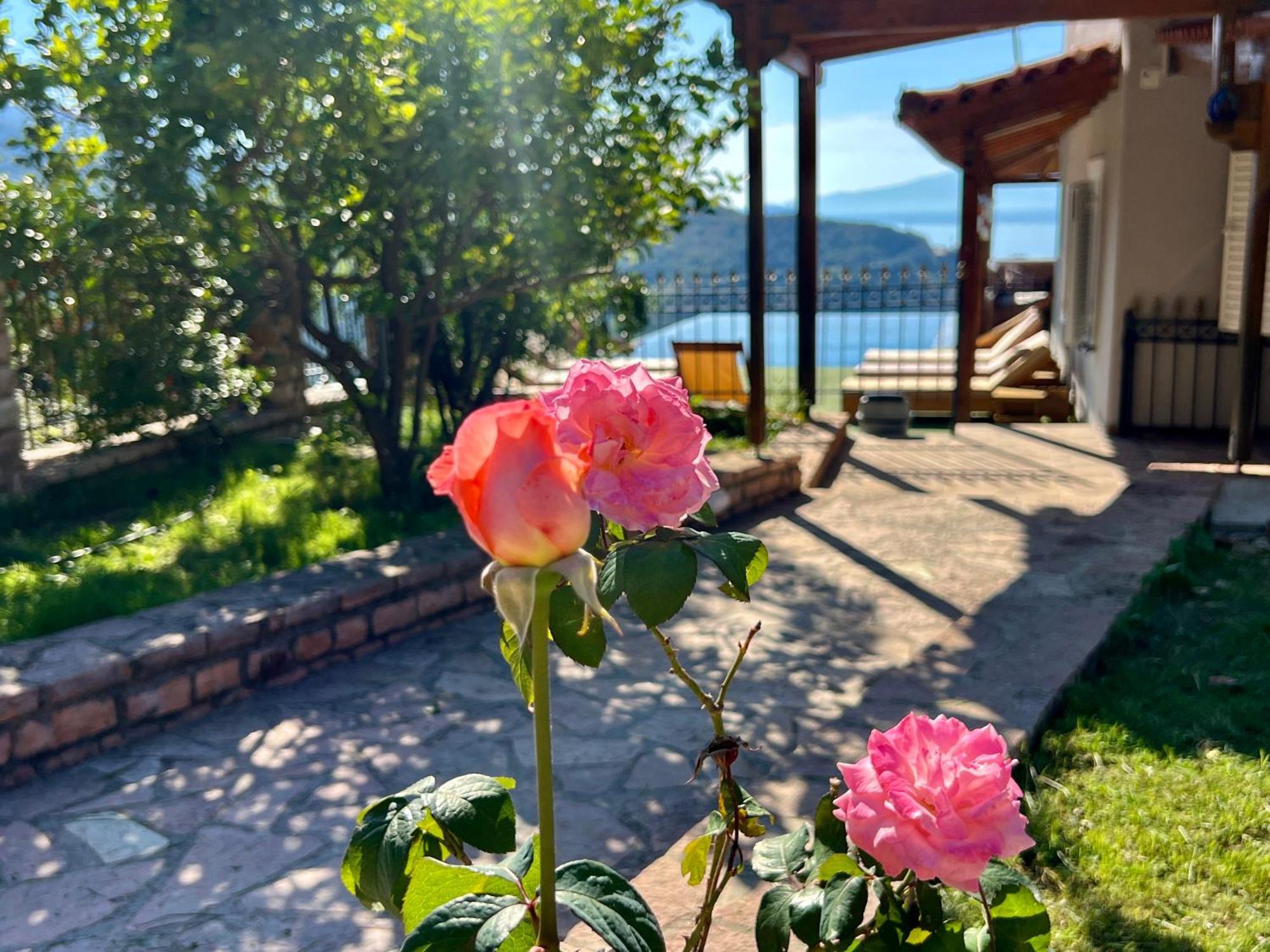 Vila Elezi Piqeras Borş Dış mekan fotoğraf
